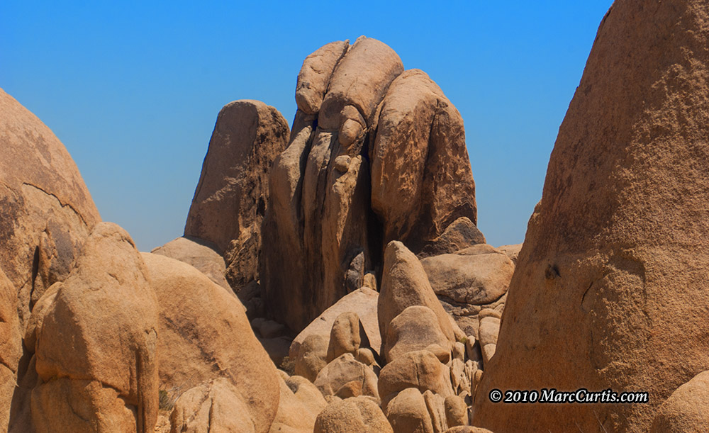 Joshua-Tree8 Joshua Tree National Park
