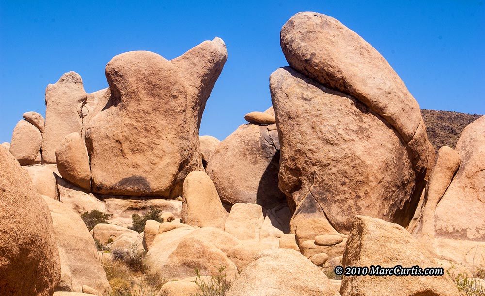 Joshua-Tree9 Joshua Tree National Park